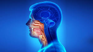 Improving Immunotherapy Response by Targeting Uchl5