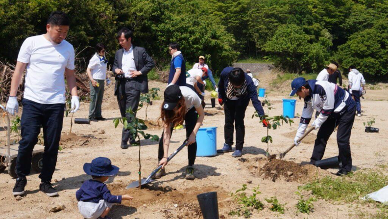 放棄耕作地を「メキシカンライム畑」にし、今治市伯方島の新たな名産に育てたい!