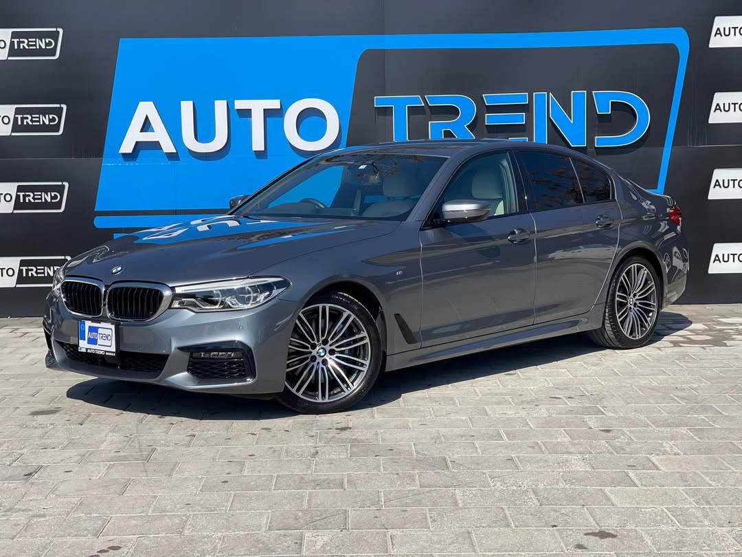 BMW 530İ M SPORT - Görsel 2