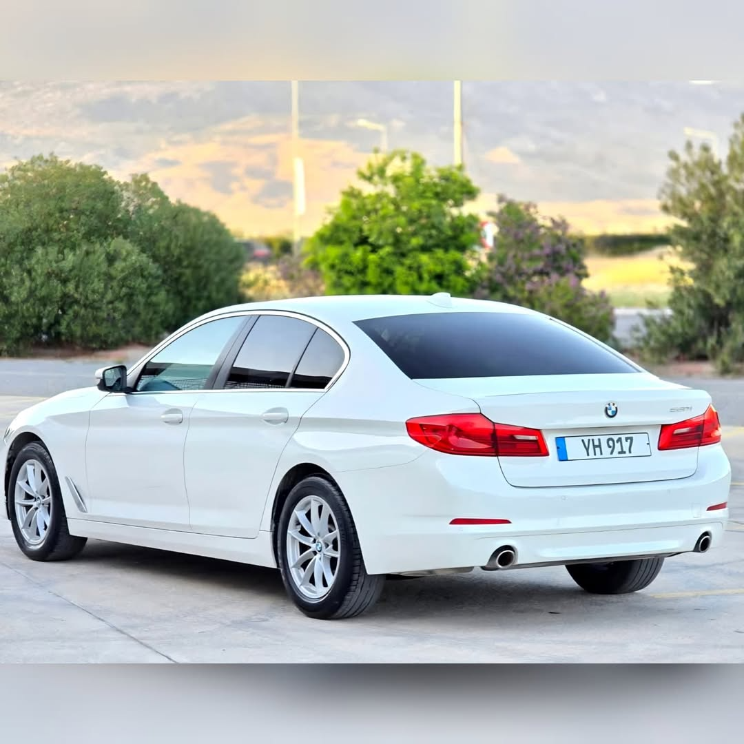 2019 BMW 520i Otomatik Benzinli Sedan - Görsel 5