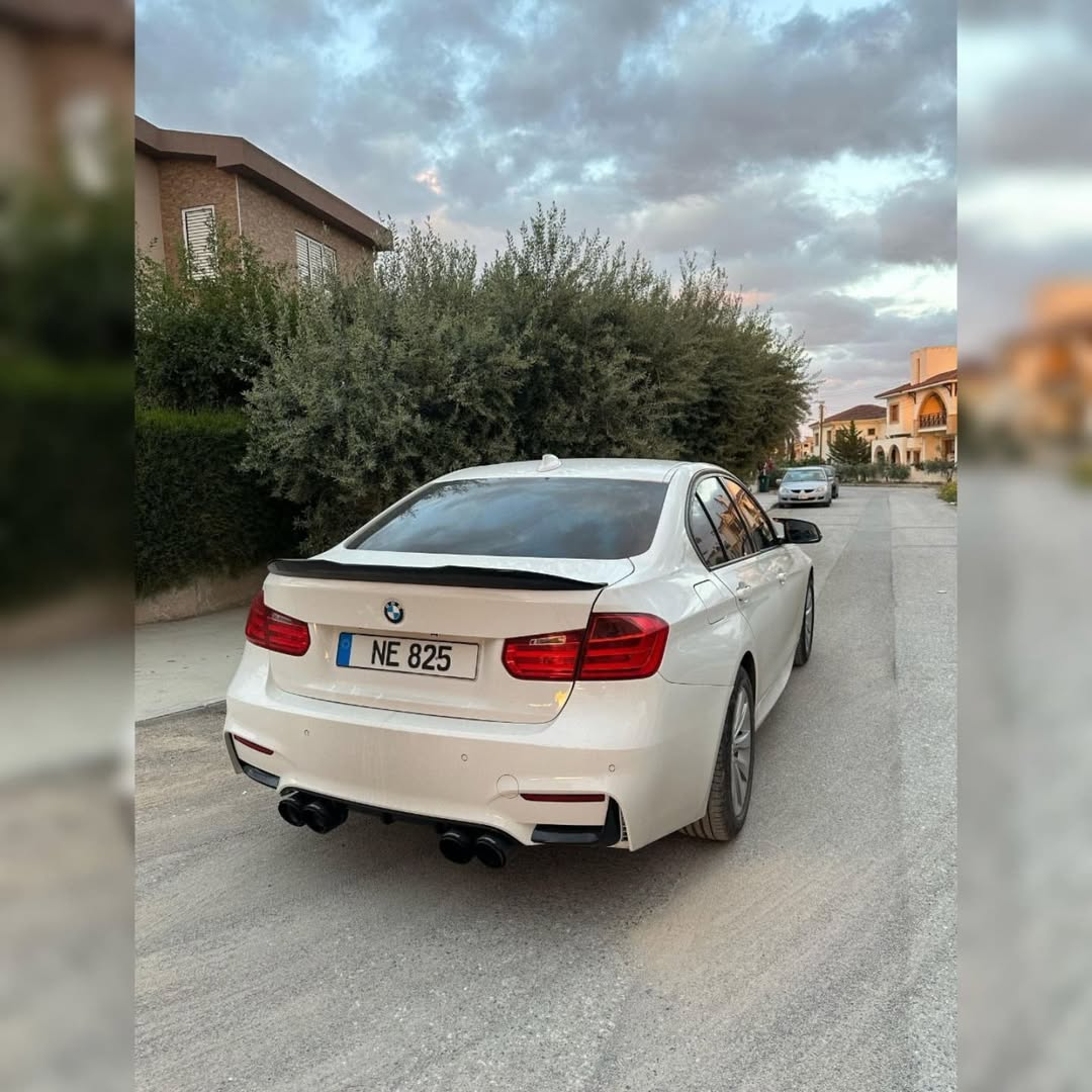 2015 BMW 3.16i Otomatik Benzin - Görsel 3