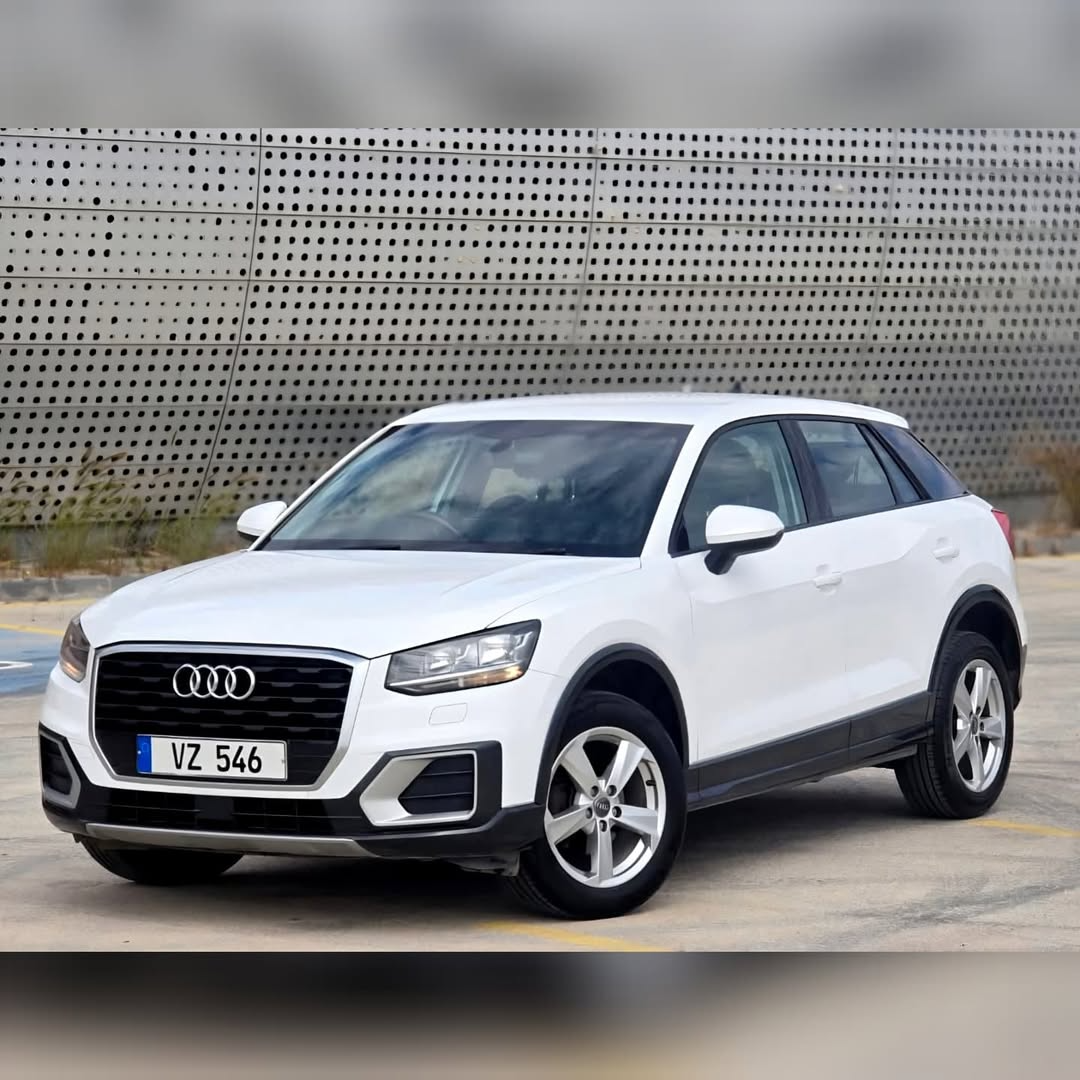 2019 Audi Q2 1.0 Otomatik - Görsel 2