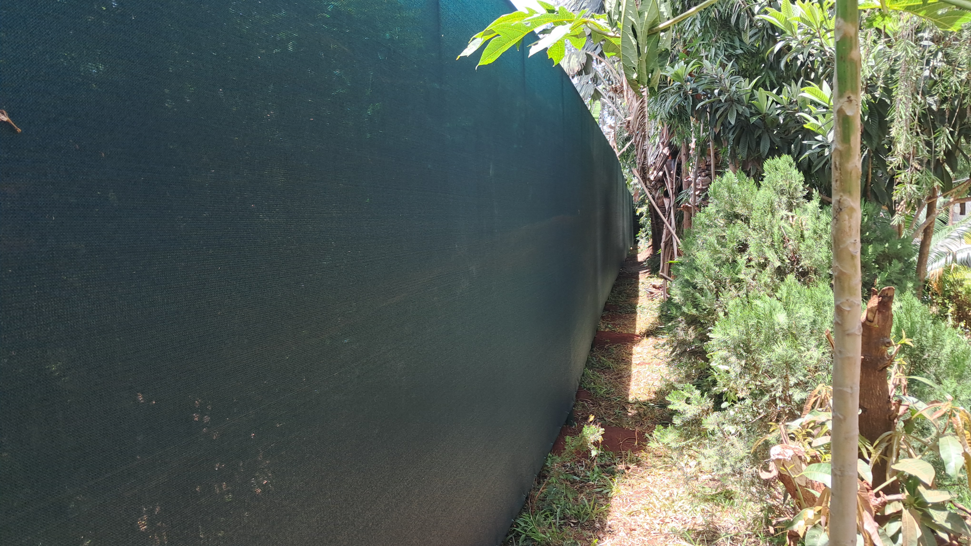 Shade Screening
