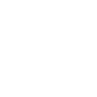Vehicle to Load (V2L)