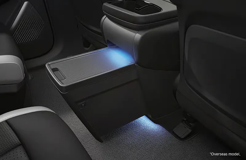 Extendable Central Console Tray with Under Storage