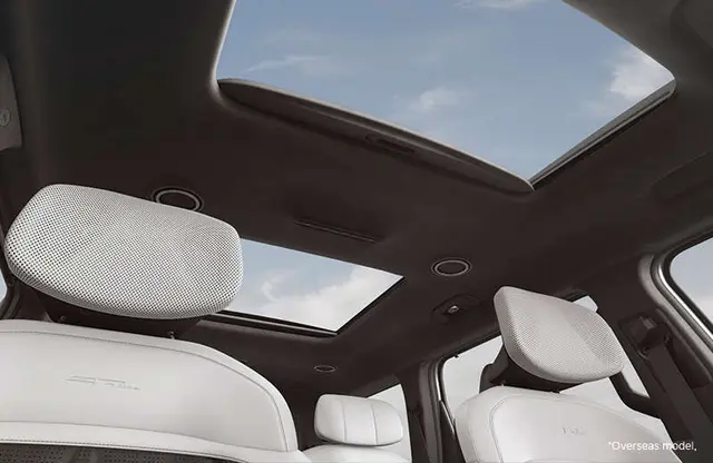 Dual Sunroof
