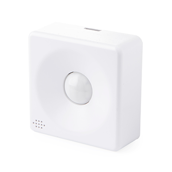 Motion Sensor