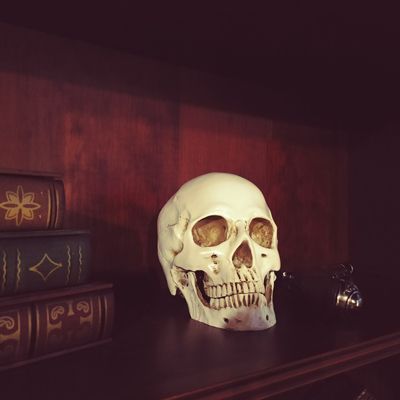 Calavera en una librería