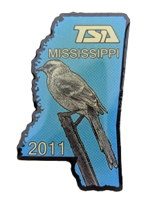 2011 MS
