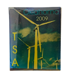 2009 OK