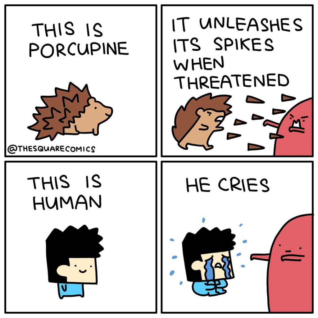 porcupine