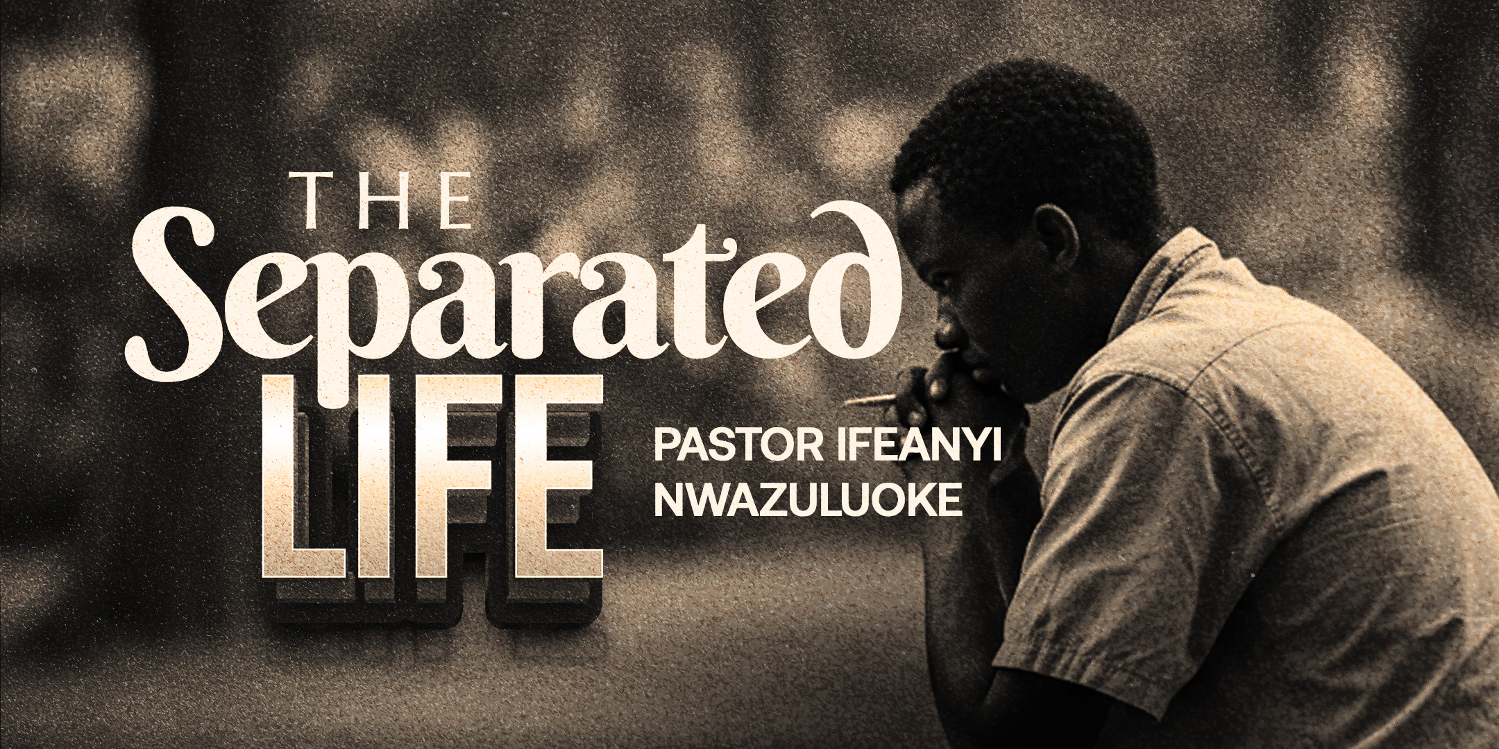 THE SEPARATED LIFE thumbnail