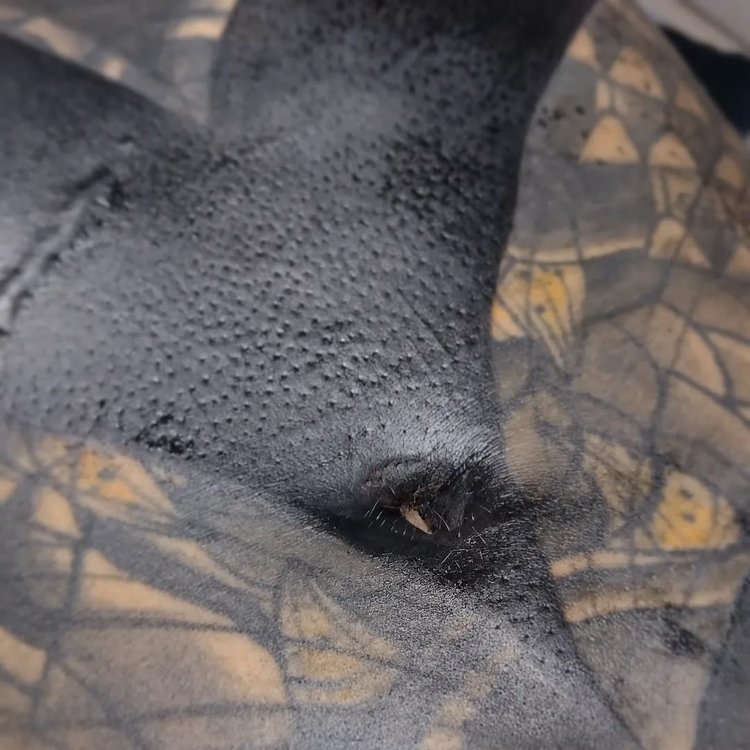 Tatuaje de BRUTO TATTOO