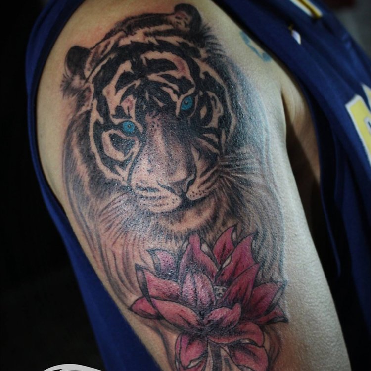 Tatuaje de Alex Zamurai