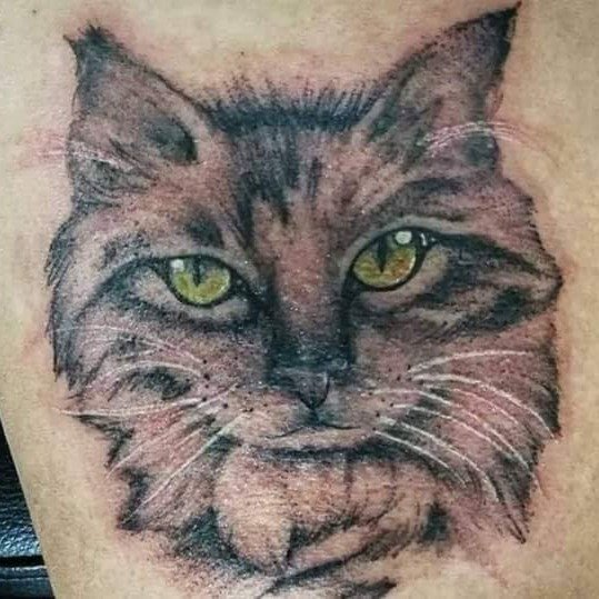 Tatuaje de Sugar