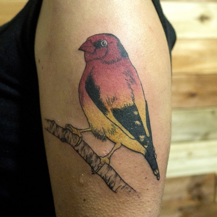 Tatuaje de Sofia Albert