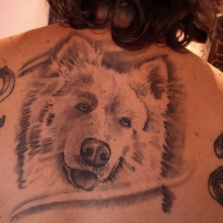 Tatuaje de El Kid : .