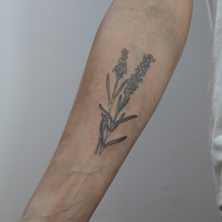 Tatuaje de Bahía Diaz