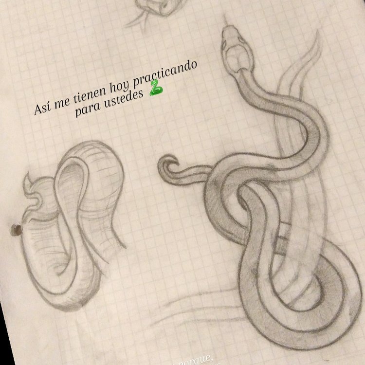 Tatuaje de Nicolás