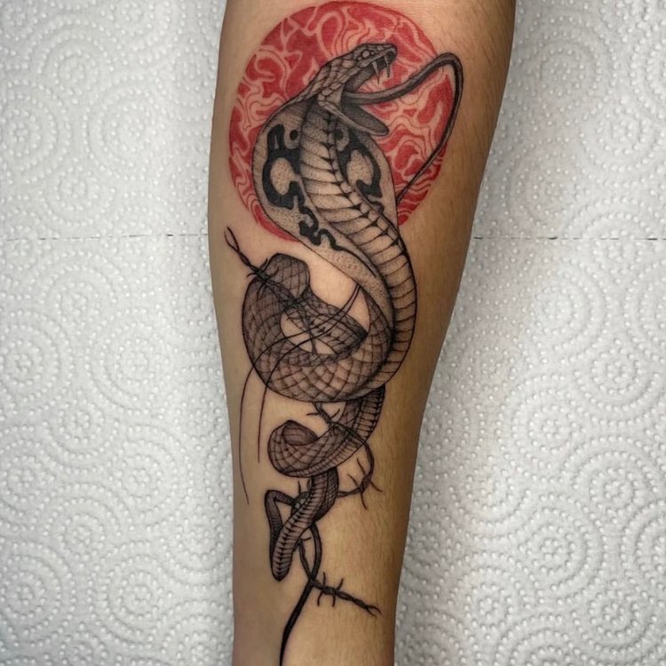 Tatuaje de Kepler