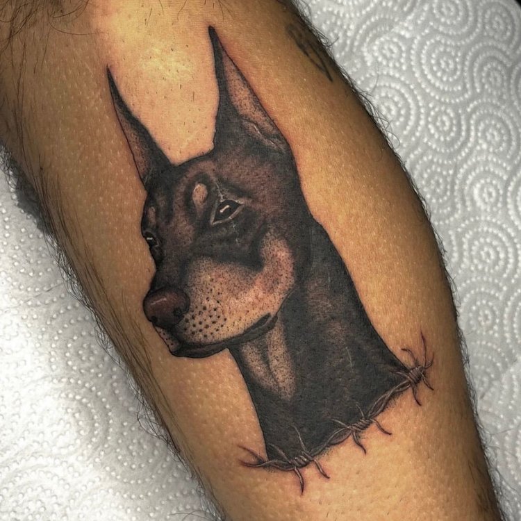 Tatuaje de Kepler