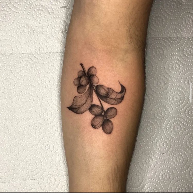 Tatuaje de Kepler