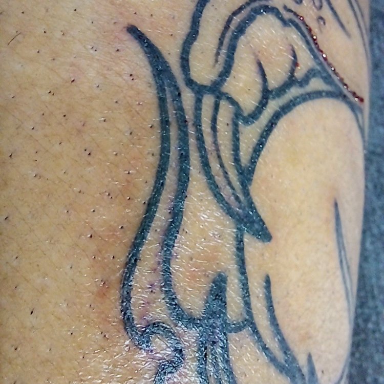 Tatuaje de Sacha Paez Gigena