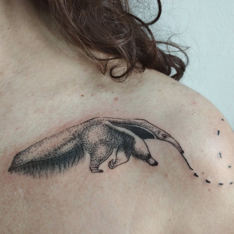 Tatuaje de Fer Rabanito