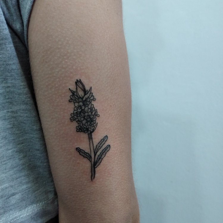 Tatuaje de Fer Rabanito