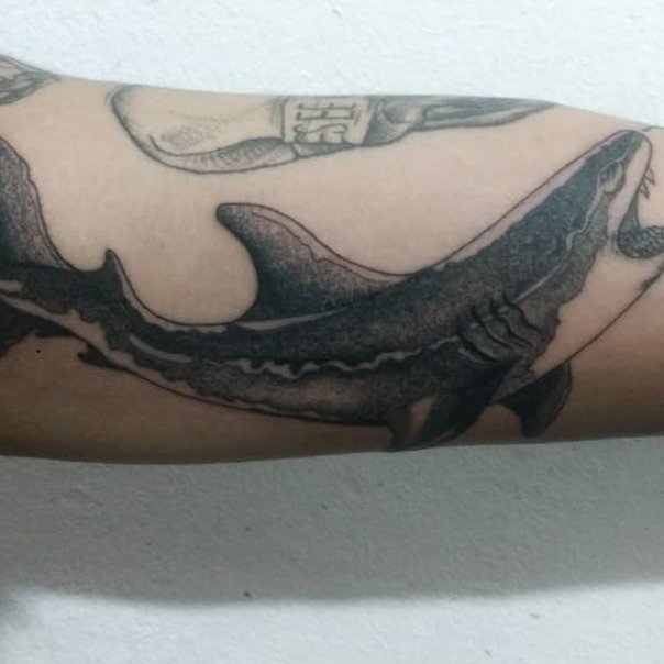 Tatuaje de Macsi_t