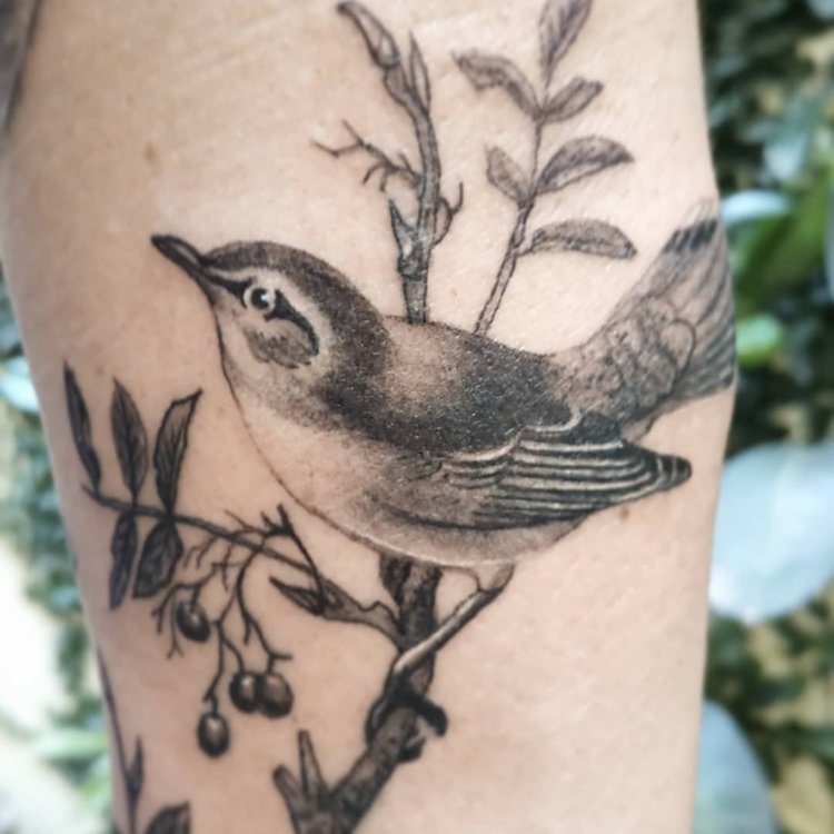 Tatuaje de Nupa Tattoo