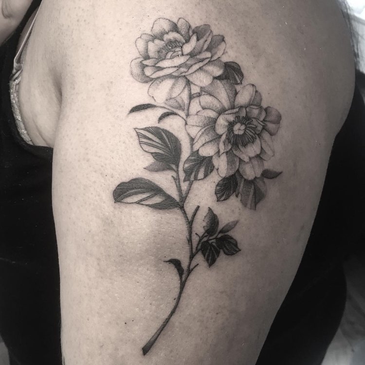 Tatuaje de Delfina