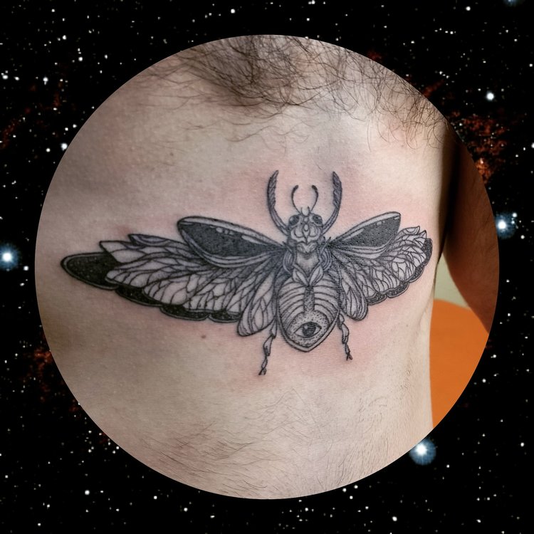 Tatuaje de Lu Carusillo / Hummingbird