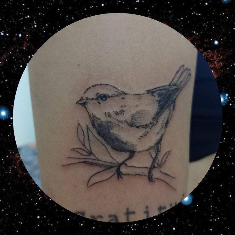 Tatuaje de Lu Carusillo / Hummingbird