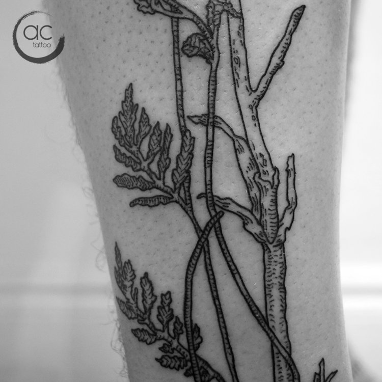 Tatuaje de Anabel Correa