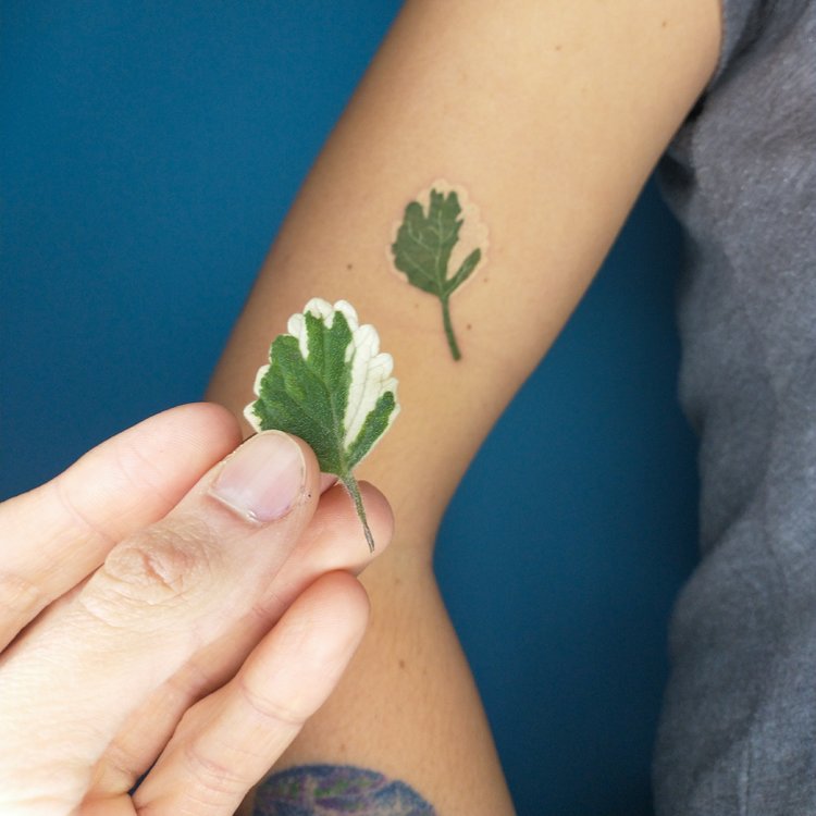 Tatuaje de Joaquín Casado Lacentre