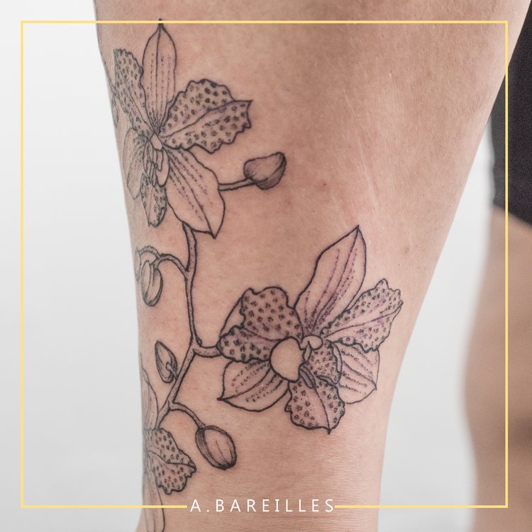 Tatuaje de Aye Bareilles