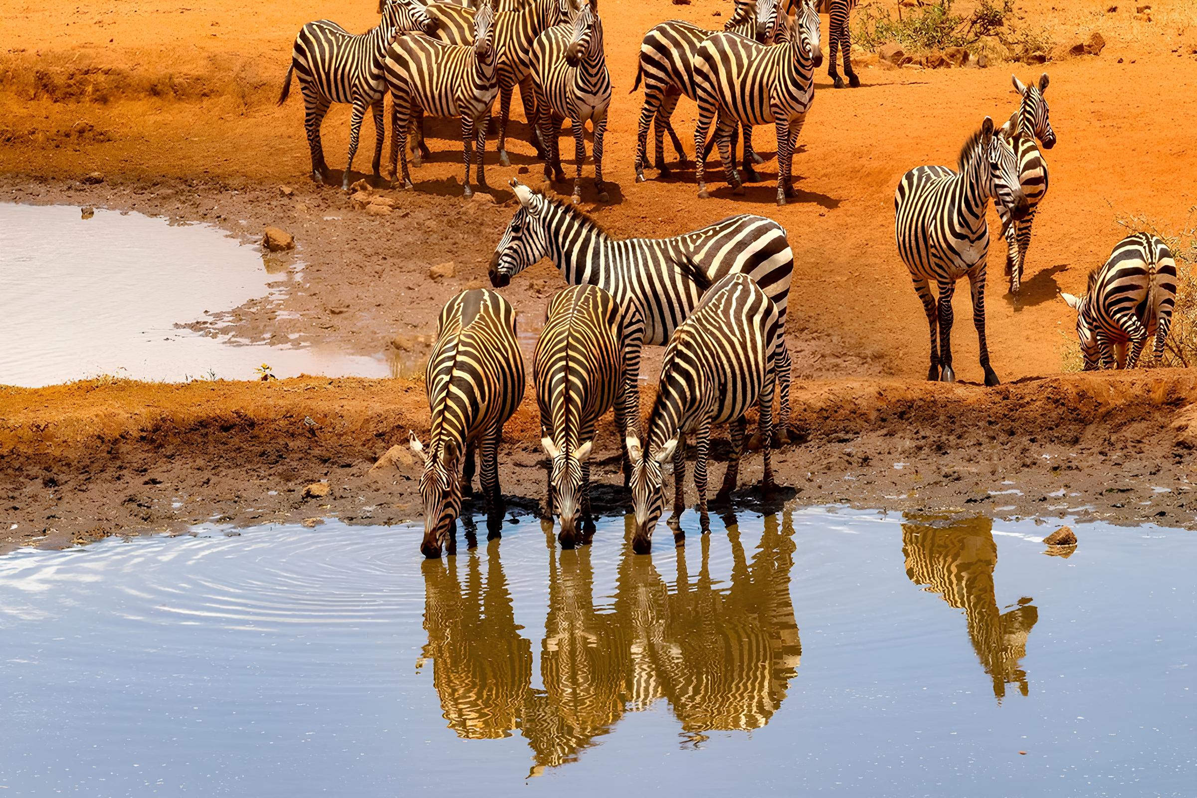 Kenya - Tour "One Tsavo Est"