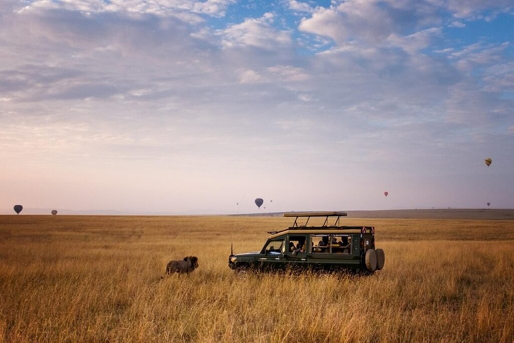 Kenya - Tour "Great Kenya Safari"