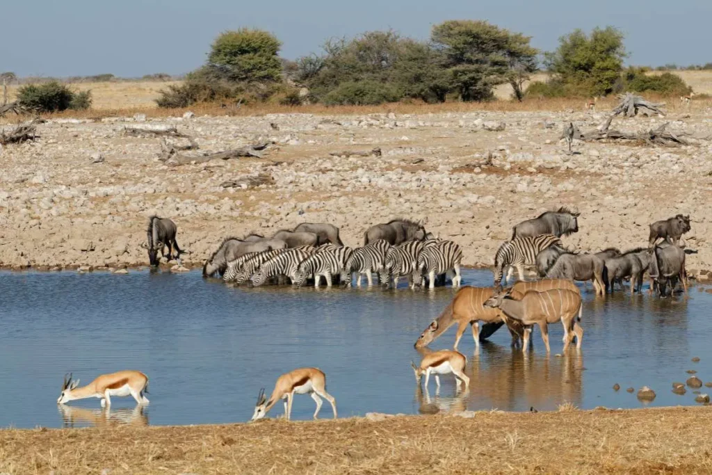 Namibia - Tour "Best of Namibia"