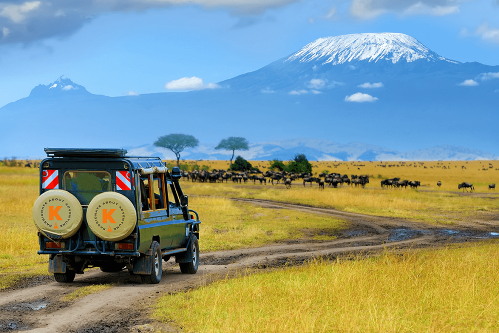 Tanzania - Tour Classic Tanzania Safari
