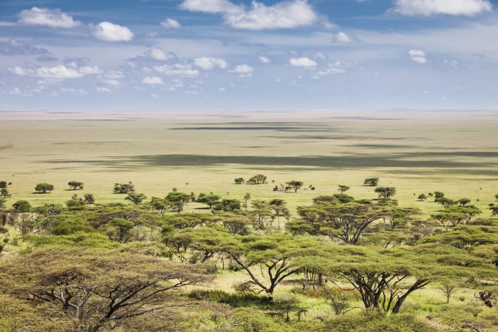 Tanzania - Tour "Serena Escape Serengeti Safari"