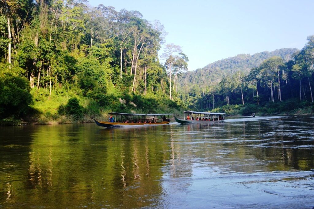 Malesia – Taman Negara Adventure
