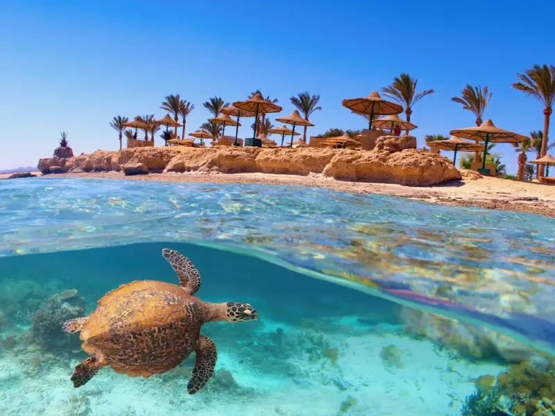 Horus & Marsa Alam