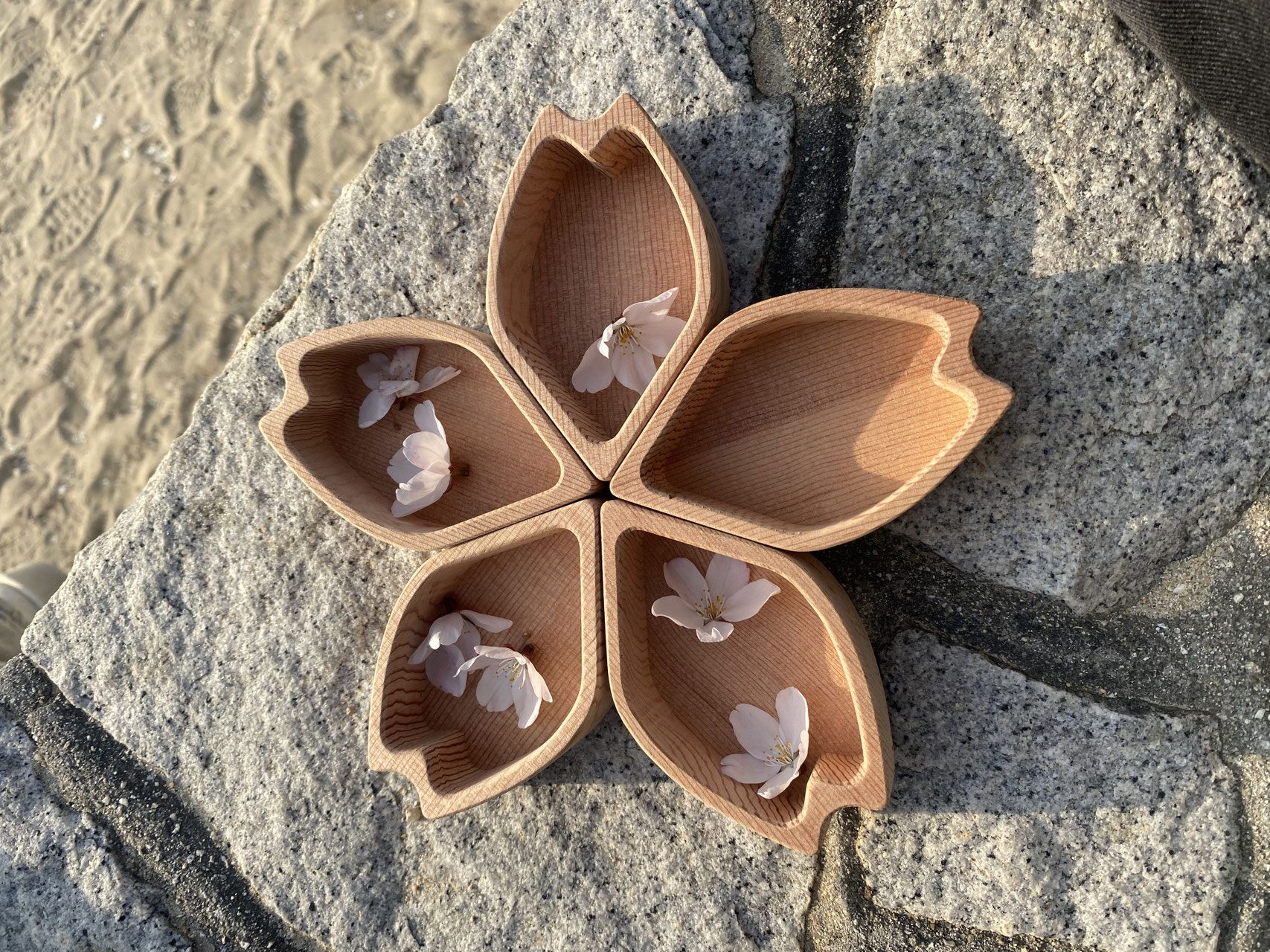 磁石でつながる桜の小物入れ「花咲く器」木製アクセサリートレイの作品画像
