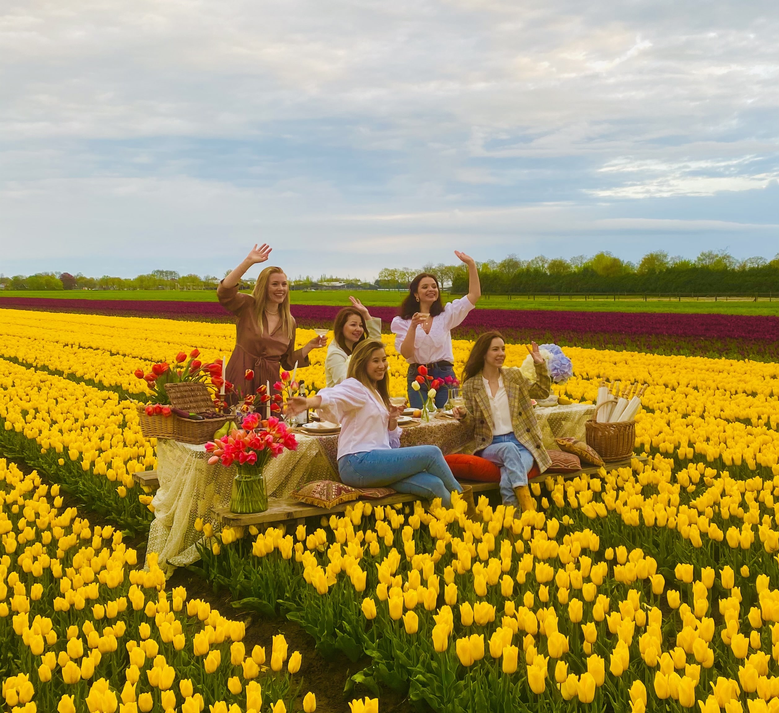 Chicks in a tulip field