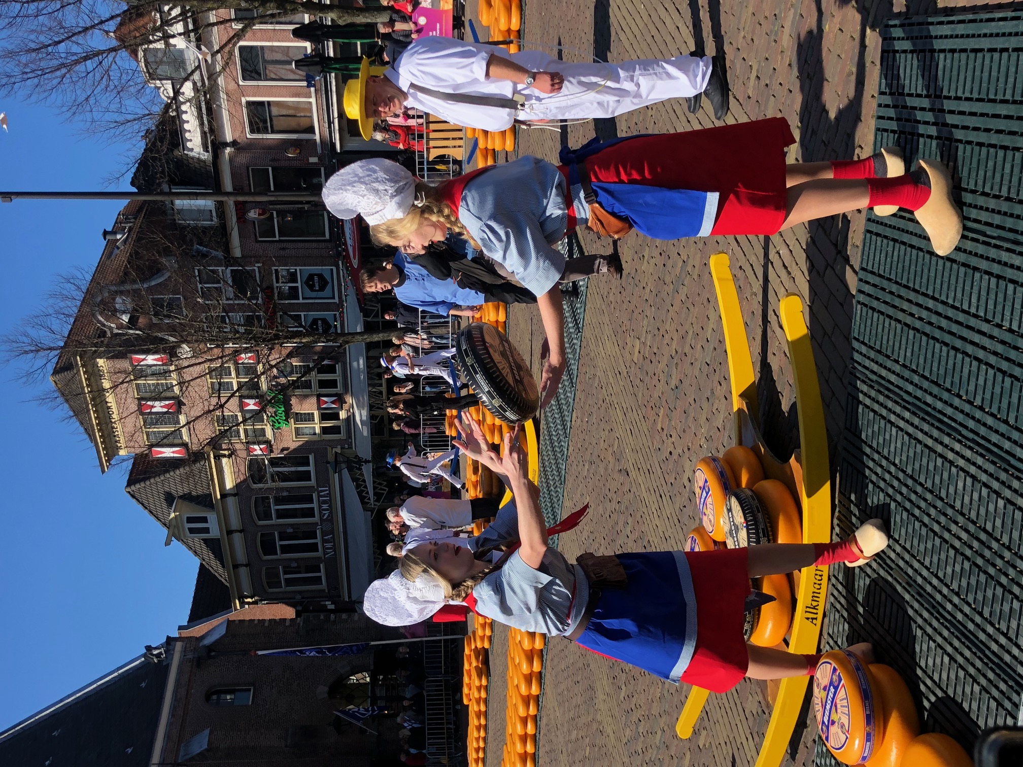 Activities at the Alkmaar Cheese Market