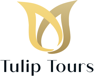 Tulip Tours Holland logo
