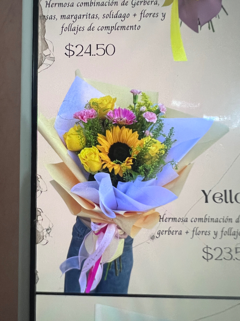 Yellow 11