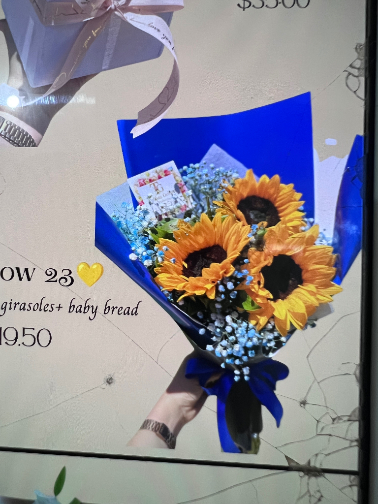 Yellow 23